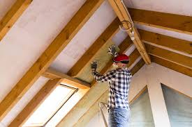 Best Commercial Insulation Services  in Kenova, WV